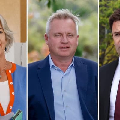 Labor risks Green light to govern in power grab twist