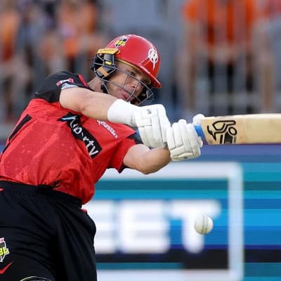 Aussie veteran batters make hay on county circuit