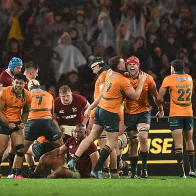 Wallabies go hunting more game on the high veldt