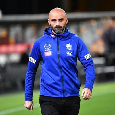 Suns job has 'invigorated' me: ex-Kangaroos coach Shaw