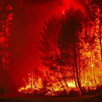 Four dead as heatwave fuels fires in southern Europe