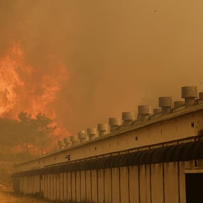 Alleged arsonist arrested over Spain wildfire