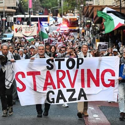 PM defends Palestine recognition after US 'disgust'