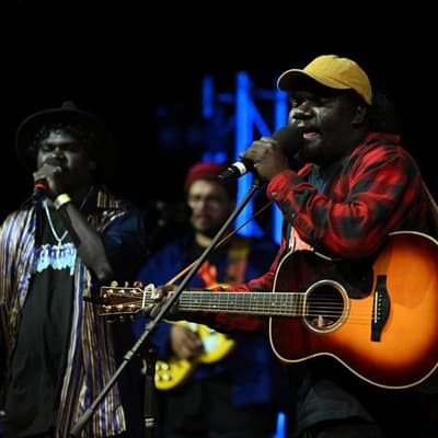 Wild Honey: the sweetest sound of remote Australia