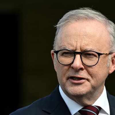 PM's approval up, support for statehood split: polls