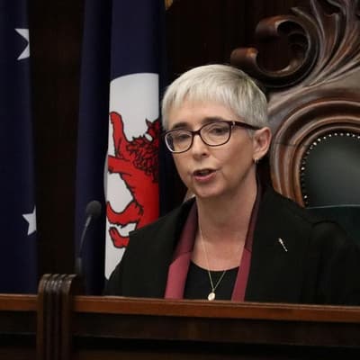 Former Labor MP appointed gender equality ambassador