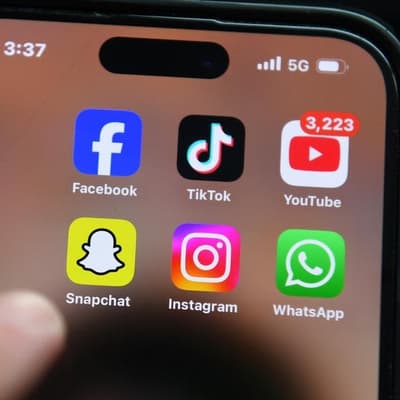 Cambridge Dictionary adds 'skibidi' and 'tradwife'