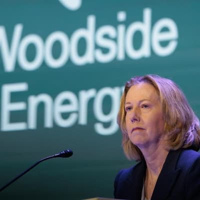 Gas plant approval wait 'frustrating': Woodside boss