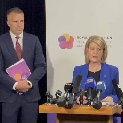 Crisis-driven response to family violence 'must end'