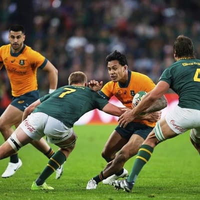 Wallabies up the physicality for smarting Springboks