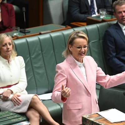 Sussan Ley wrong on Labor's housing construction numbers