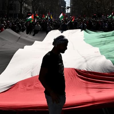Thousands flood cities demanding action on Palestine
