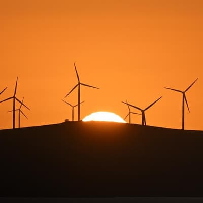 'Broken' nature laws fast-tracked but details up in air