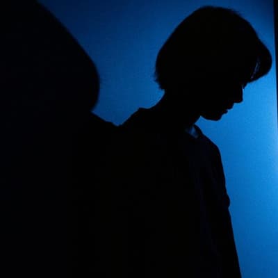 Victims' Commissioner resigns after DV hotline debacle