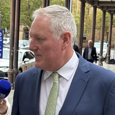 Thieving MP to step down after failing in fraud appeal