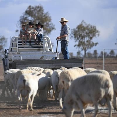 Busting the tough bush stereotypes, rural dads open up