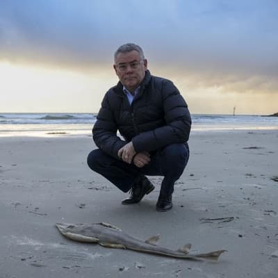 'Tough cop' needed to protect Australia's environment