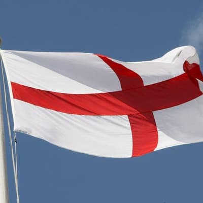 Fake Daily Mail article about potential flag ban spreads online