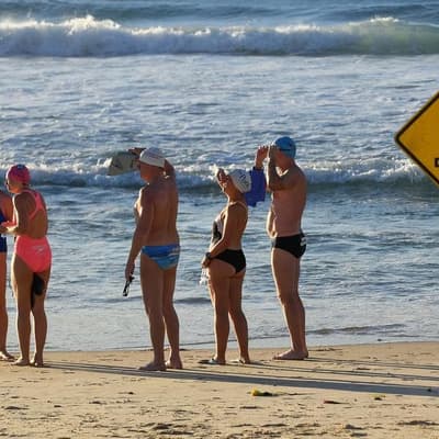 Shark nets stand-off leaves swimmers in murky waters