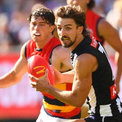 Tag at your peril: Magpies ready to protect stars