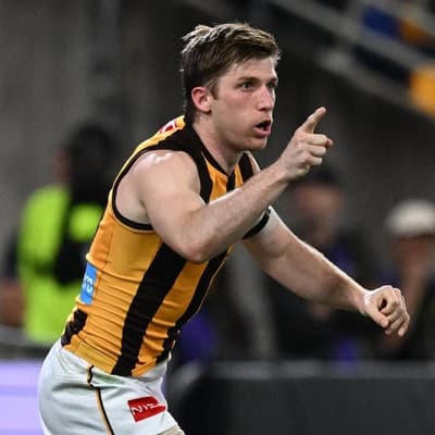 'A few punch-ons': Hawks primed if GWS final gets fiery