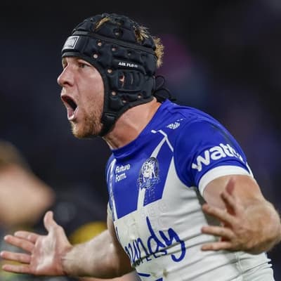 Disobedient Dogs at risk of being bitten by rap sheet