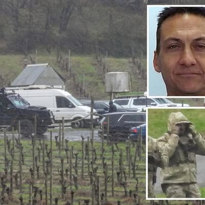 Fugitive contact possible as surrender plea reissued