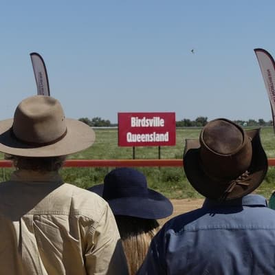 The sport of kings, mates and memories in Birdsville
