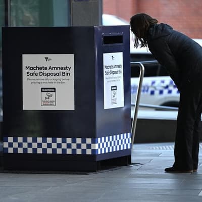 Claim machete bins cost the government $325,000 is false