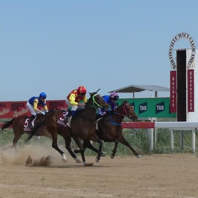 Brotherly bond key to Birdsville Races epic journey