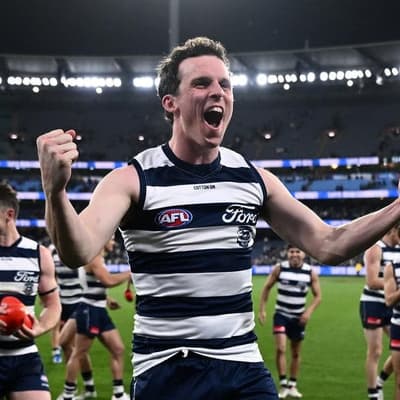 Geelong silenced 'haters' with Lions win: star Cat