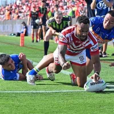 Dolphins secure best-ever season, Hammer injured