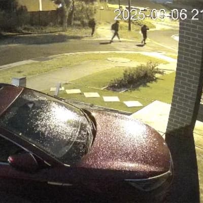 Premier eyes local solutions to youth gang 'cancer'