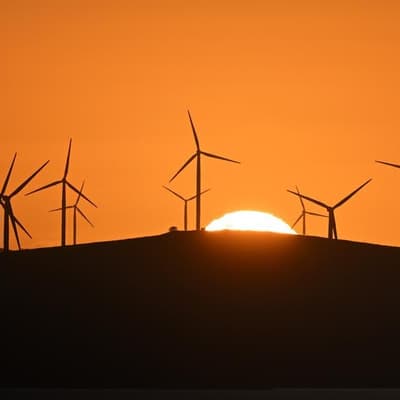 Big business seeks new dawn for environmental laws