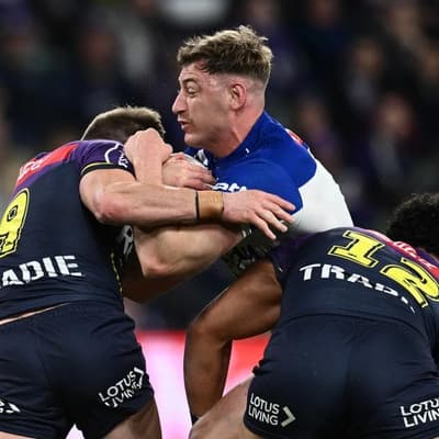 Bulldog reveals six-week mould infestation battle