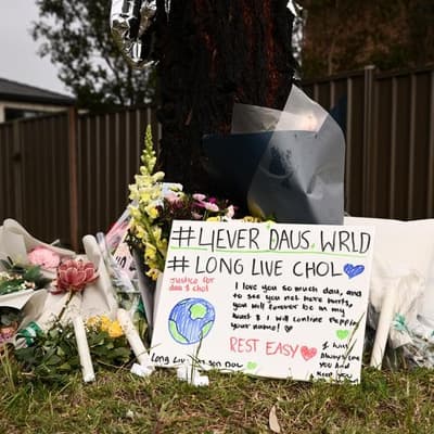 Double murder ramps up calls for tougher knife laws