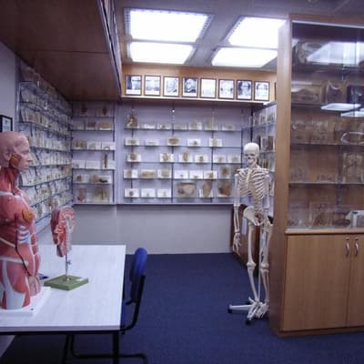 Museum kept and displayed human remains without consent