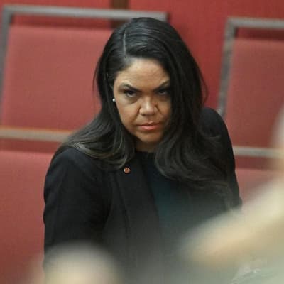 Unshackled senator to 'speak up' as ambitions on ice