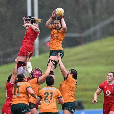 'Anything can happen': Roos target World Cup boilover