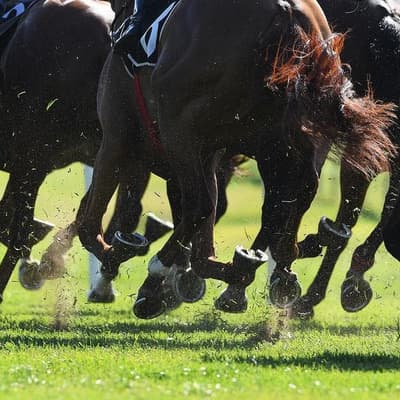 Officials placed hundreds of bets on races over years