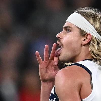 'A different cat': Smith backed after fresh controversy