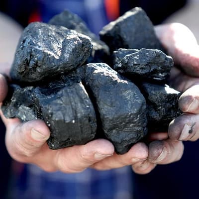 Fossil fuel industry labelled 'a criminal enterprise'