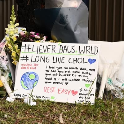 Teens arrested over 'senseless' murder of two boys