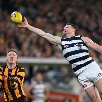 Star hurt as Cats claw past Hawks into AFL grand final