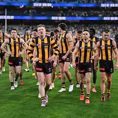 'Gutted': Hawks look to future with Cats too good
