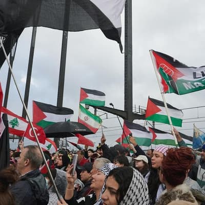 Coalition accused of going 'rogue' on Palestine stance