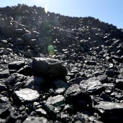 'Call to arms': peak body joins coal royalties fight