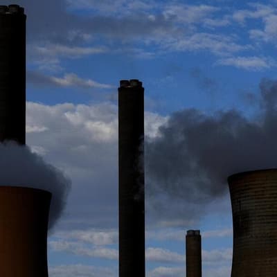 Conservationists outraged at coal-fired future