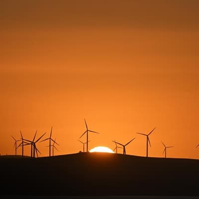 Renewables need to beat the rural 'grapevine' to thrive