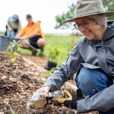 Tiny forests breathe life and hope into urban Australia